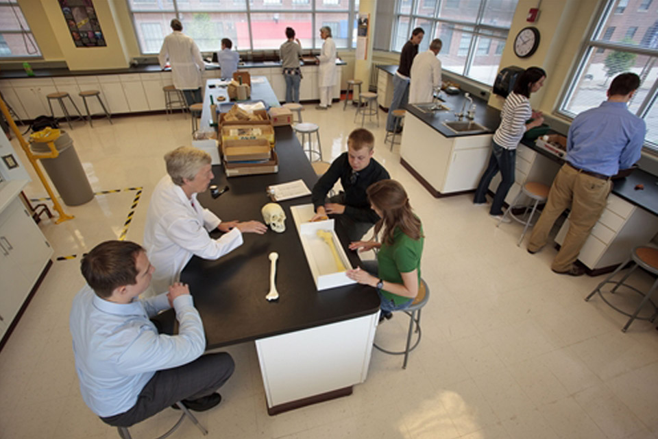 Students work in pairs and small groups at several stations around a lab.